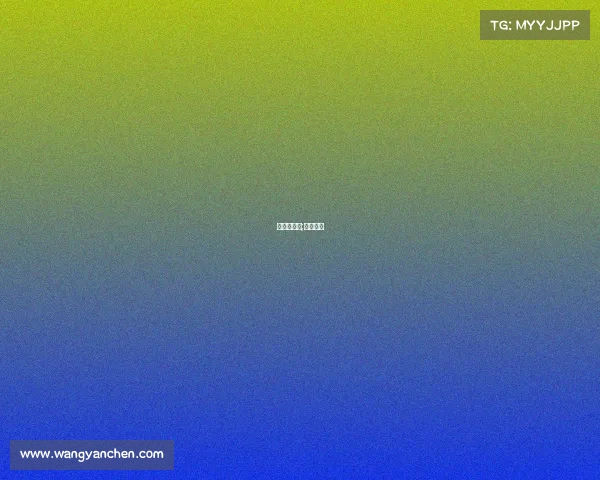 日女甲赛事;日女阵容